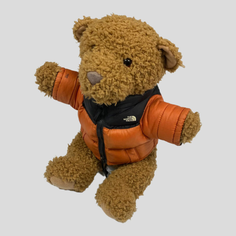 streetwear brasil the north face nuptse bear 2002 800x800 - The North Face lança ursinho de pelúcia comemorativo